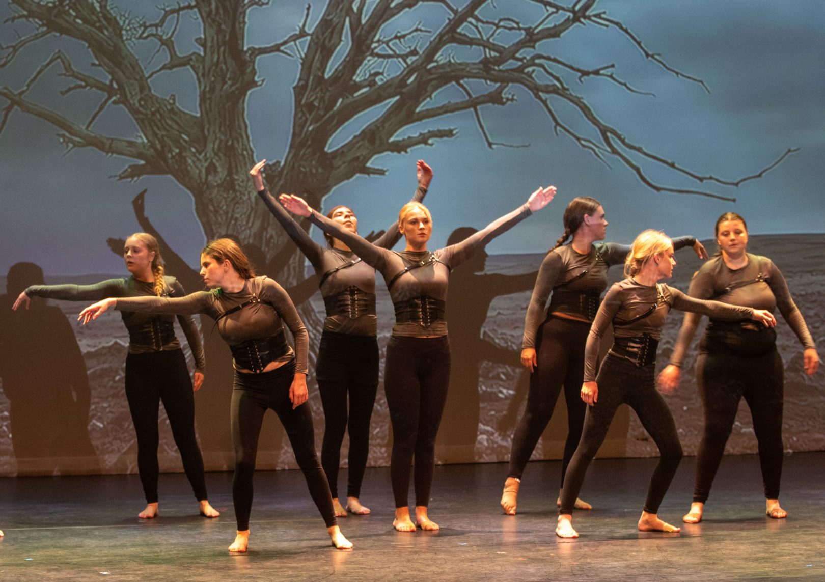 welkom bij PULSE dansschool